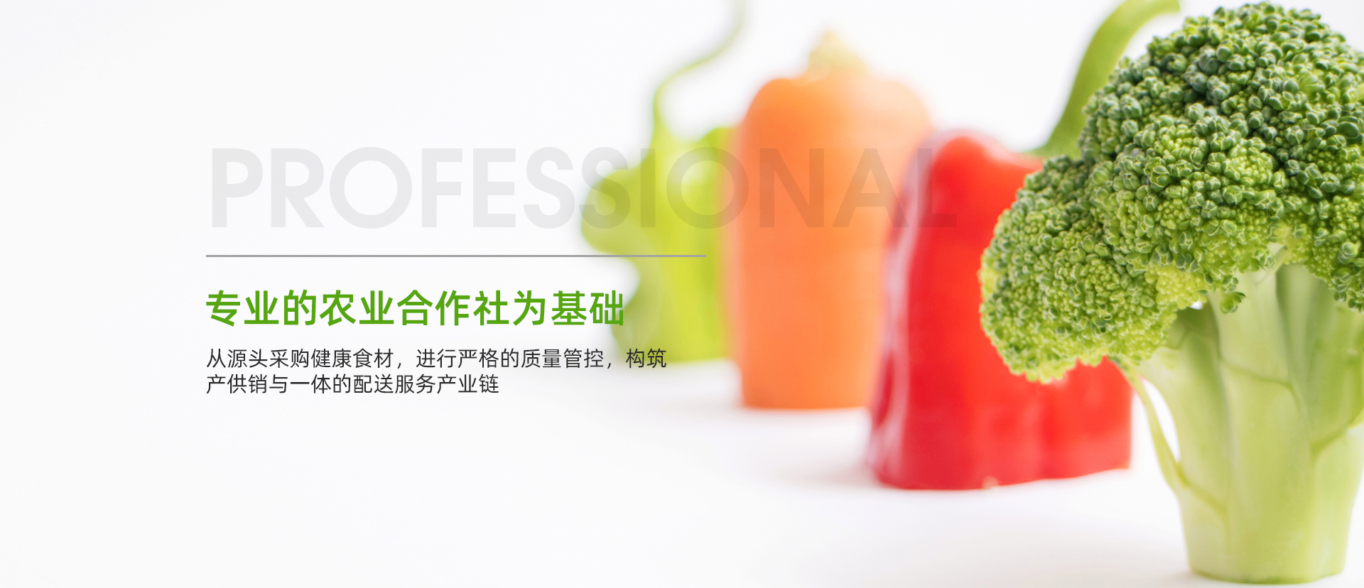 青州市明川花卉苗木有限公司